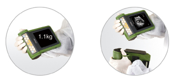 king ring mechanical sector vet use ultrasound scanner