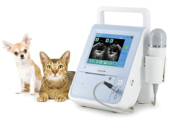 BVT01 Veterinario Scanner della vescica