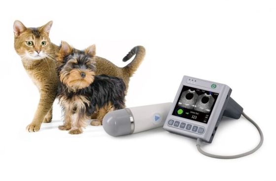 BVT02 Vet Scanner della vescica